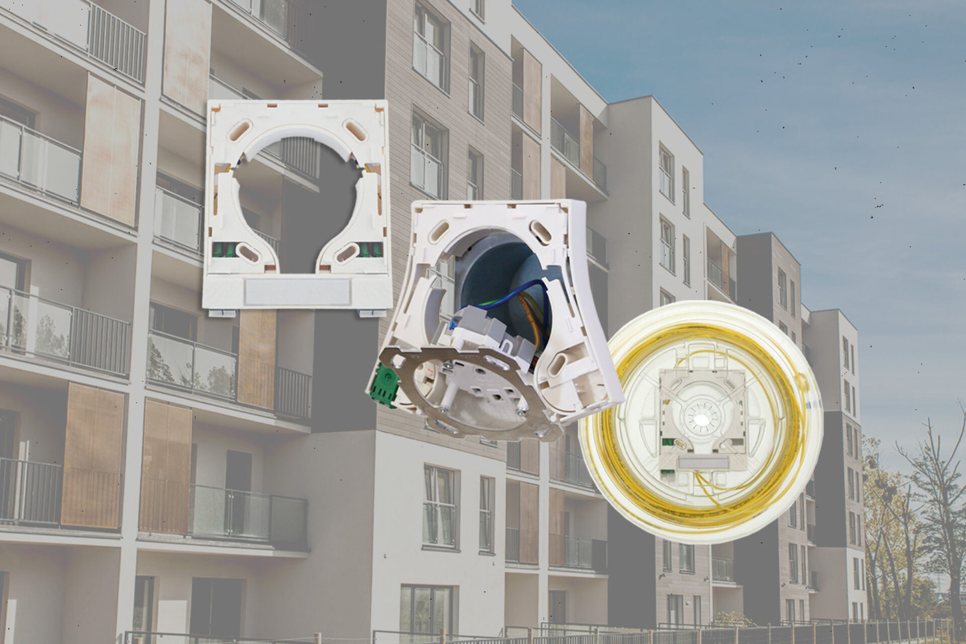 Vorschau Squeeze Referenz